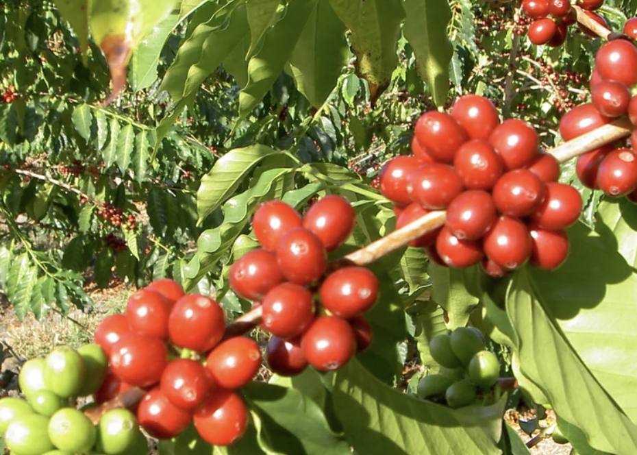 Key Farms and Tasting Rooms Worth Visiting
