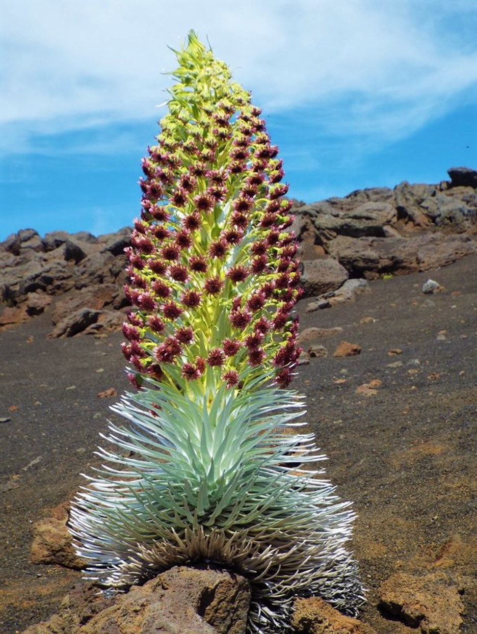image3.png