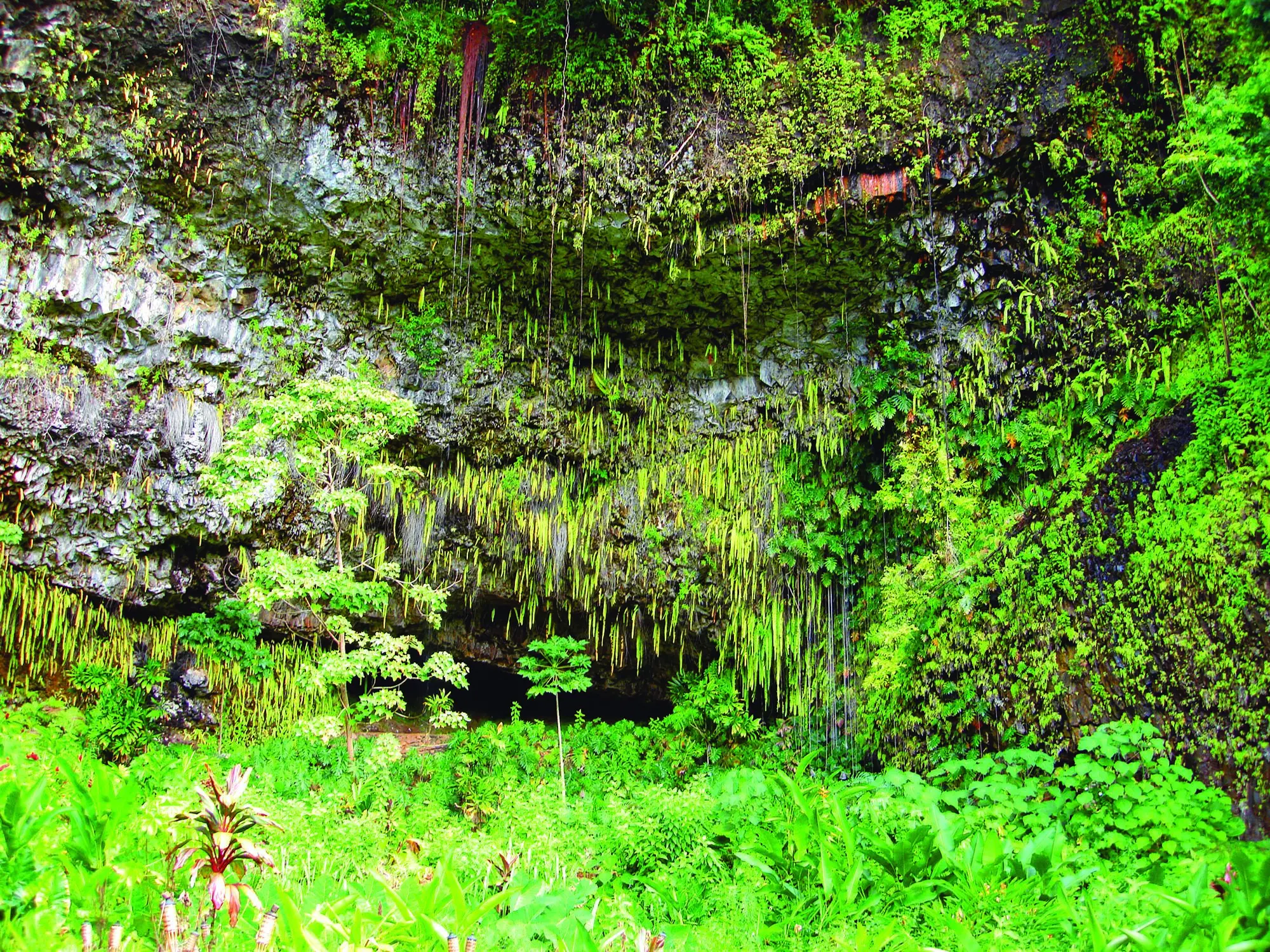 image4.jpg
