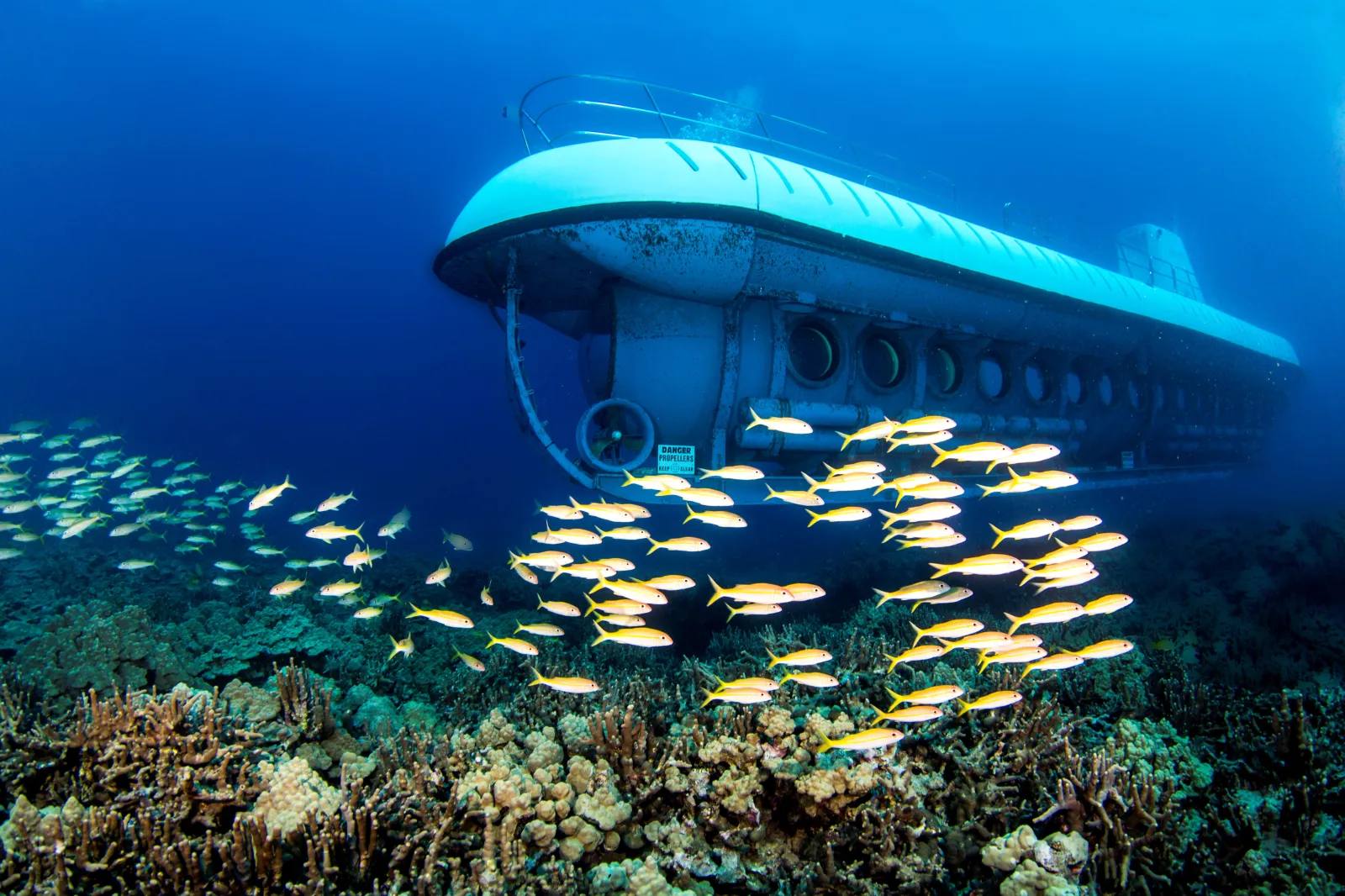 Fully Indoor Cultural and Marine Experiences