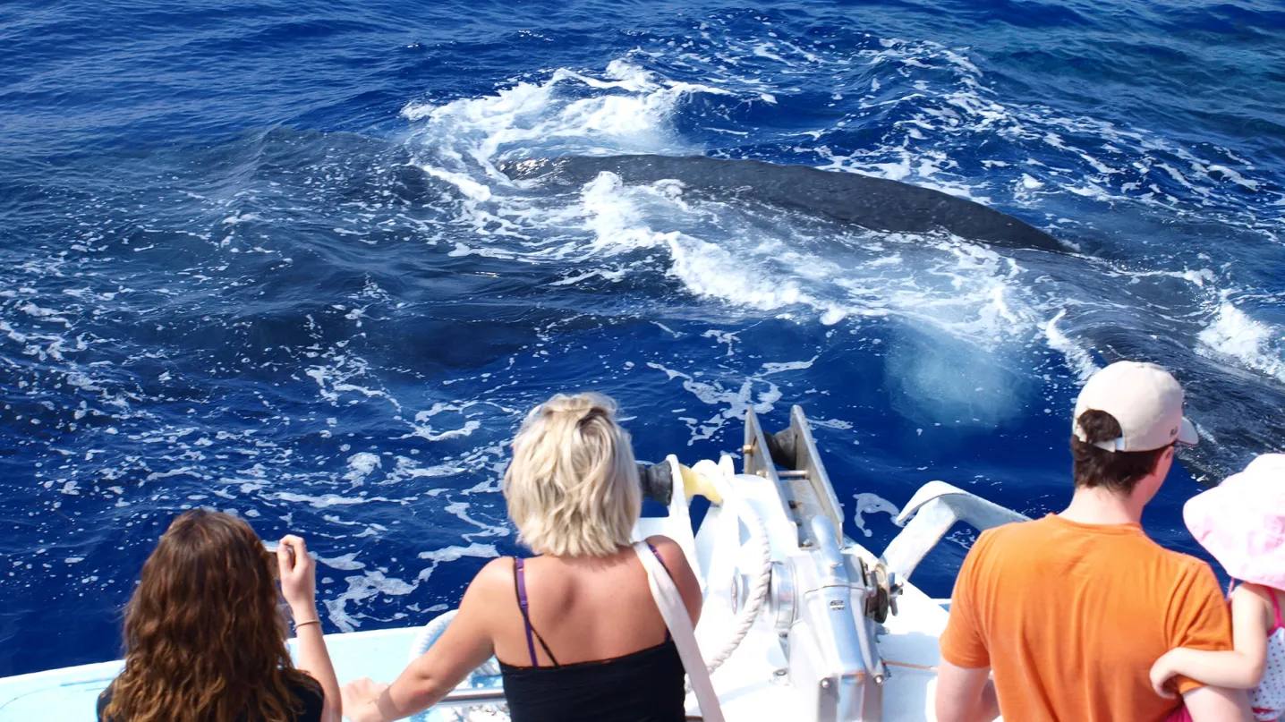 Types of Boat Tours